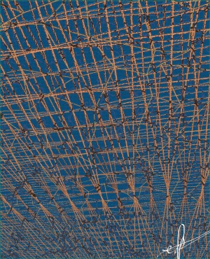 Fish Perspective of a Lowering Trawl